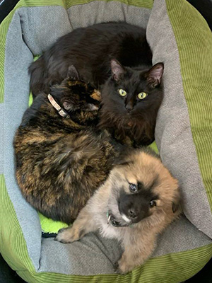 愛するペットとともに、心身のバランスを整え、より幸せな未来へ